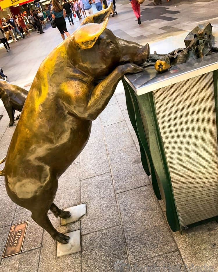Oliver the pig in Rundle Mall