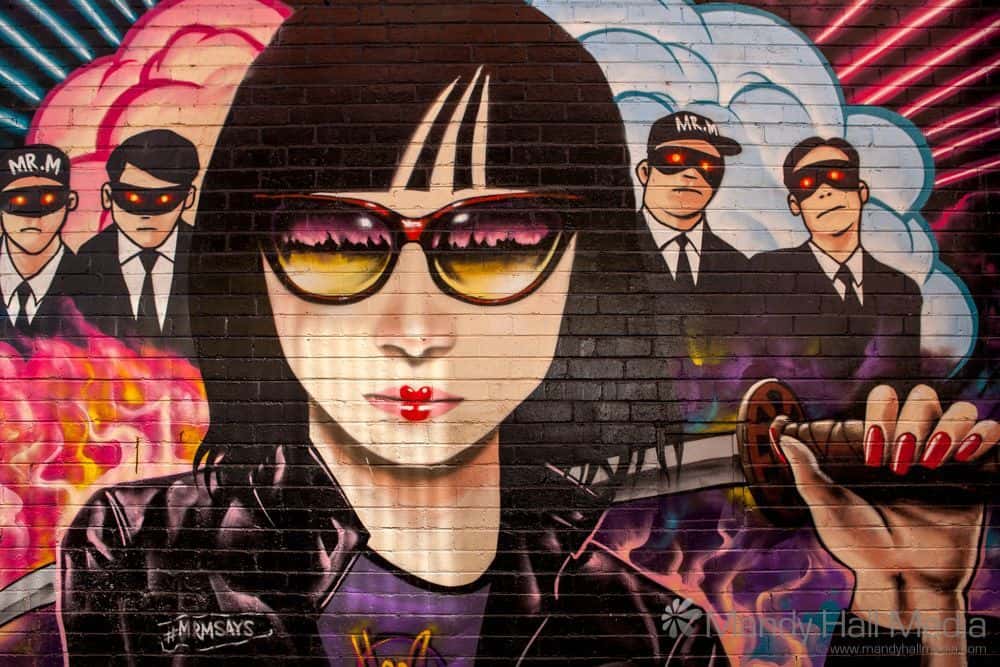 Samurai sword girl on the wall