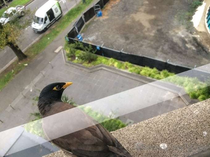I think I’m being watched
