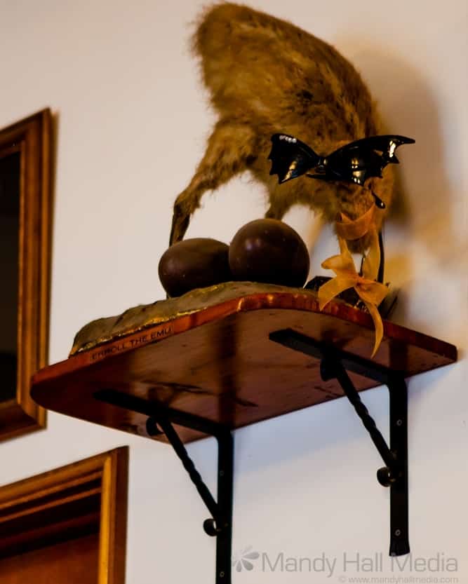 Errol the Emu