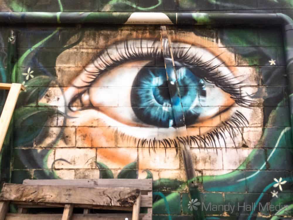 Wall eye