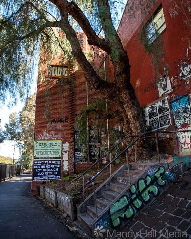 Prahran laneway