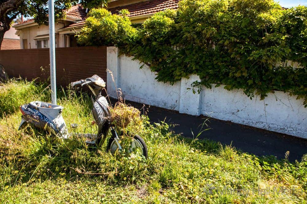 Vespa planter