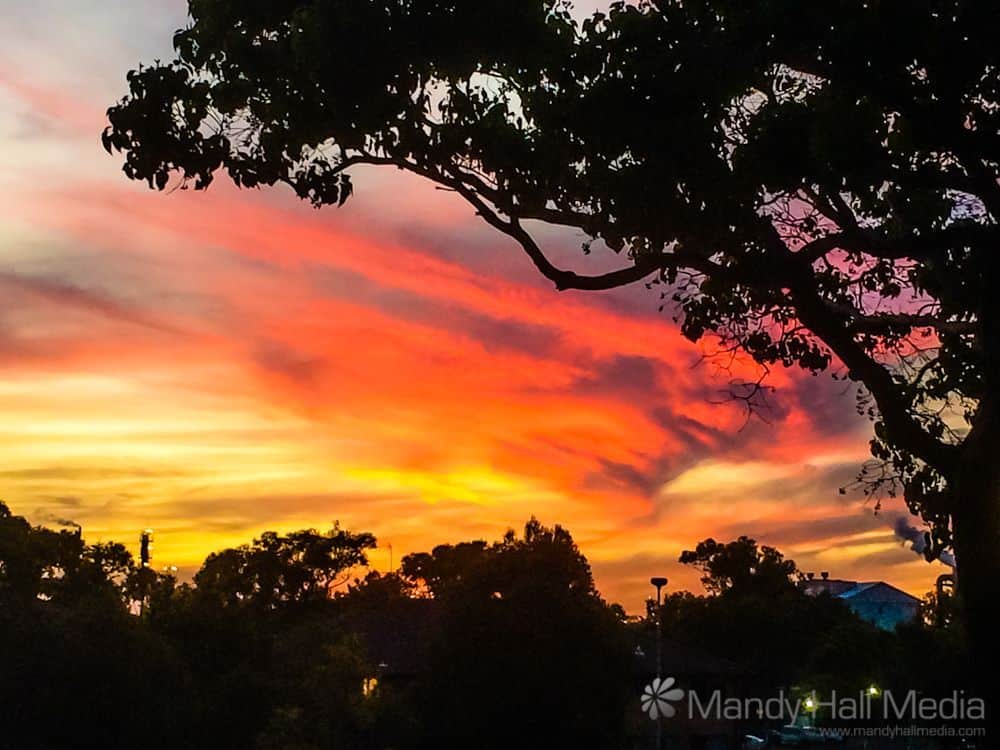 More sunset