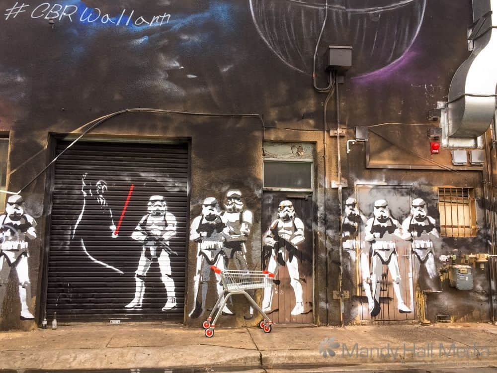 Storm Troopers guarding the shopping trolley