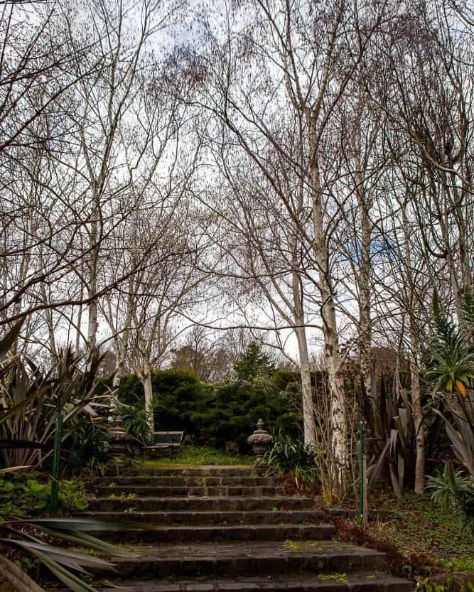 Stairway in a garden