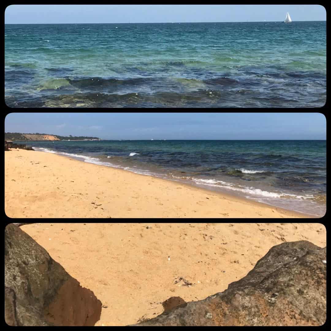 Picnic at the beach