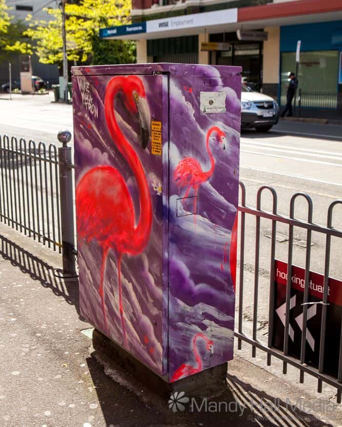 Flamingo electrical box