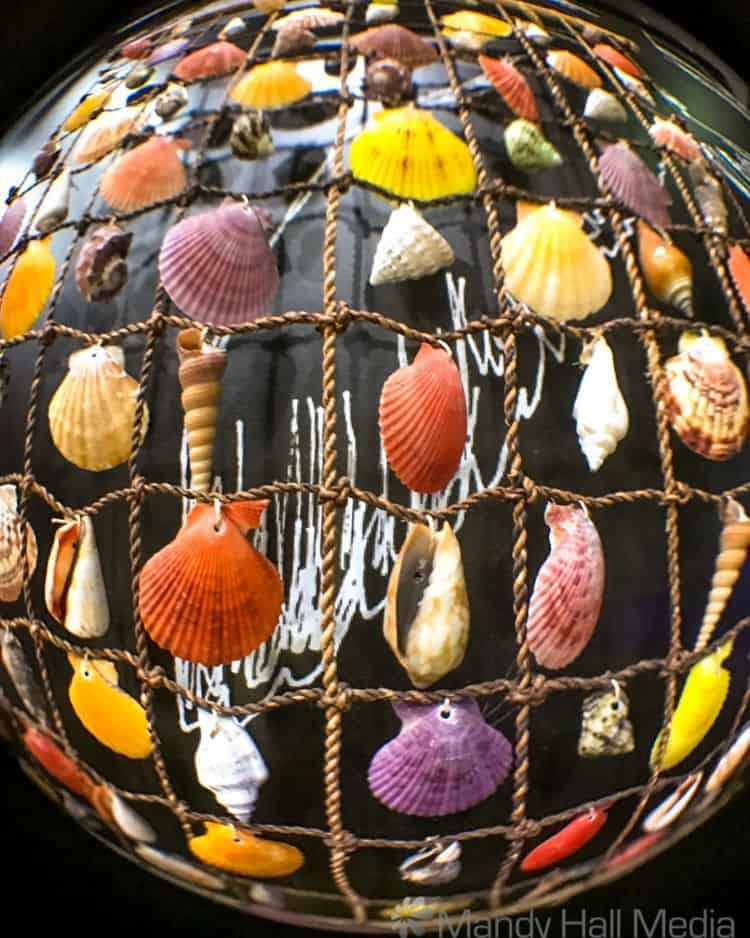 Shells
