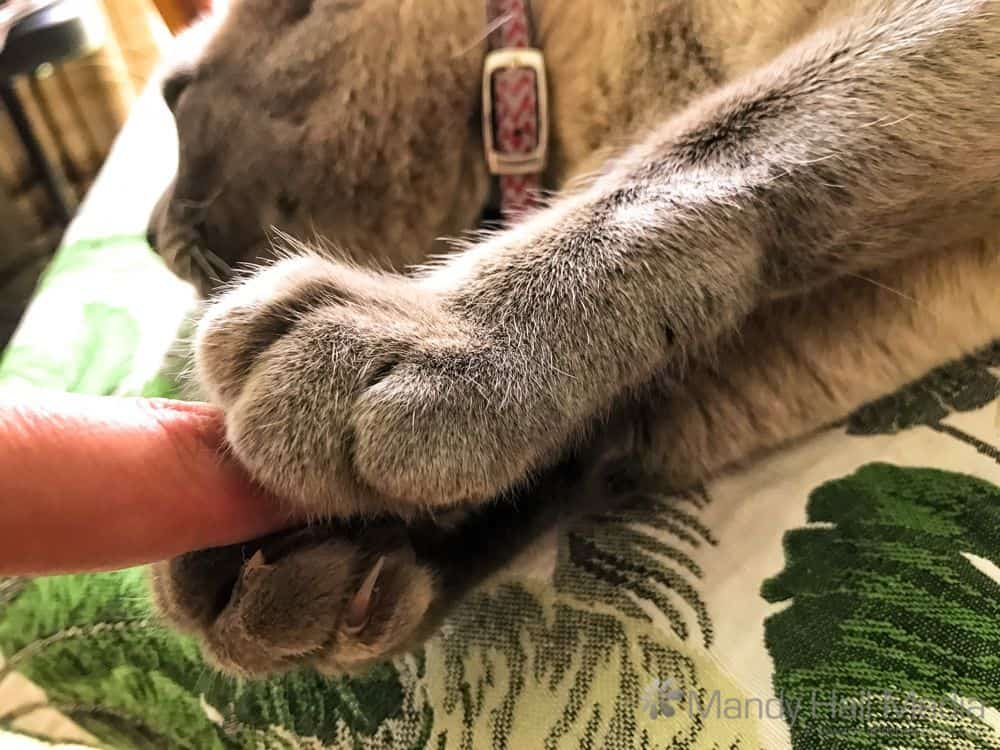 Got your finger