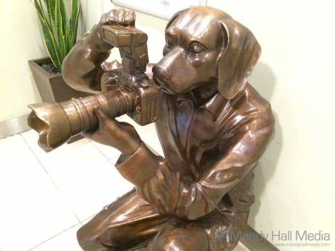 Repost from 2015: creepy paparazzi dog