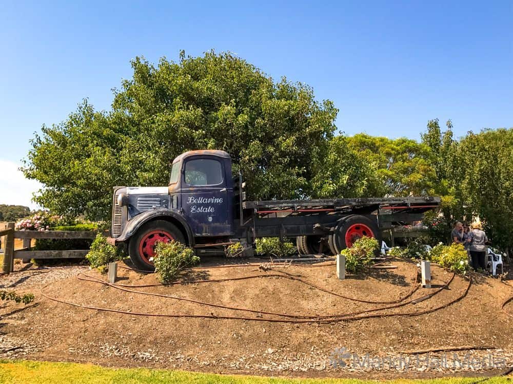 Old truck at the winery