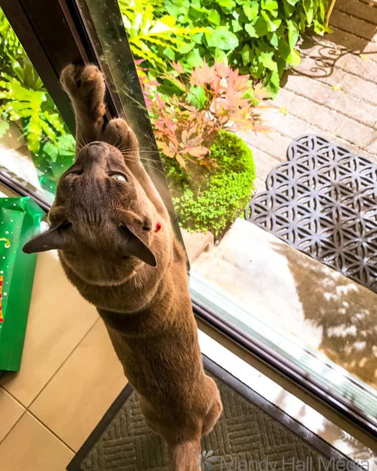Don’t worry, I’ll let myself out.