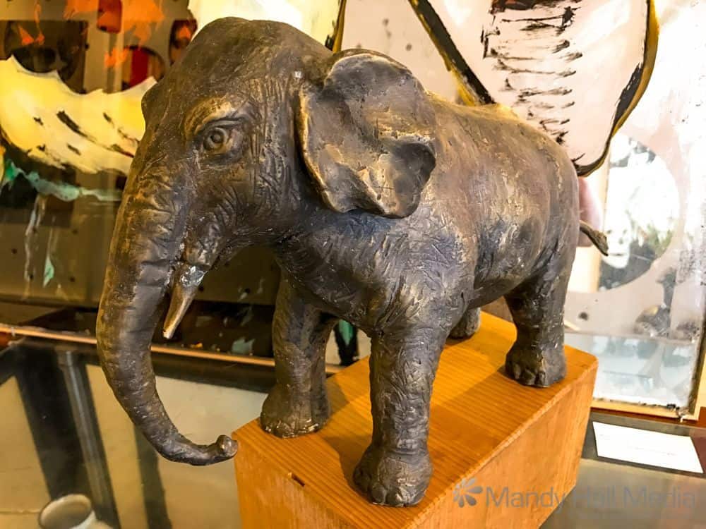 Elephant