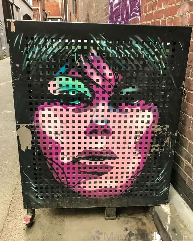 Chrisse Amphlett mural in Amphlett Lane