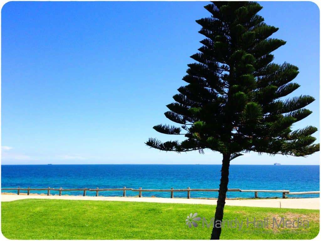 Cottesloe Beach, Perth. Before all the people turned up.
