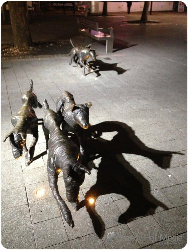 Mummified dogs in the Canberra mall. They look great at night.