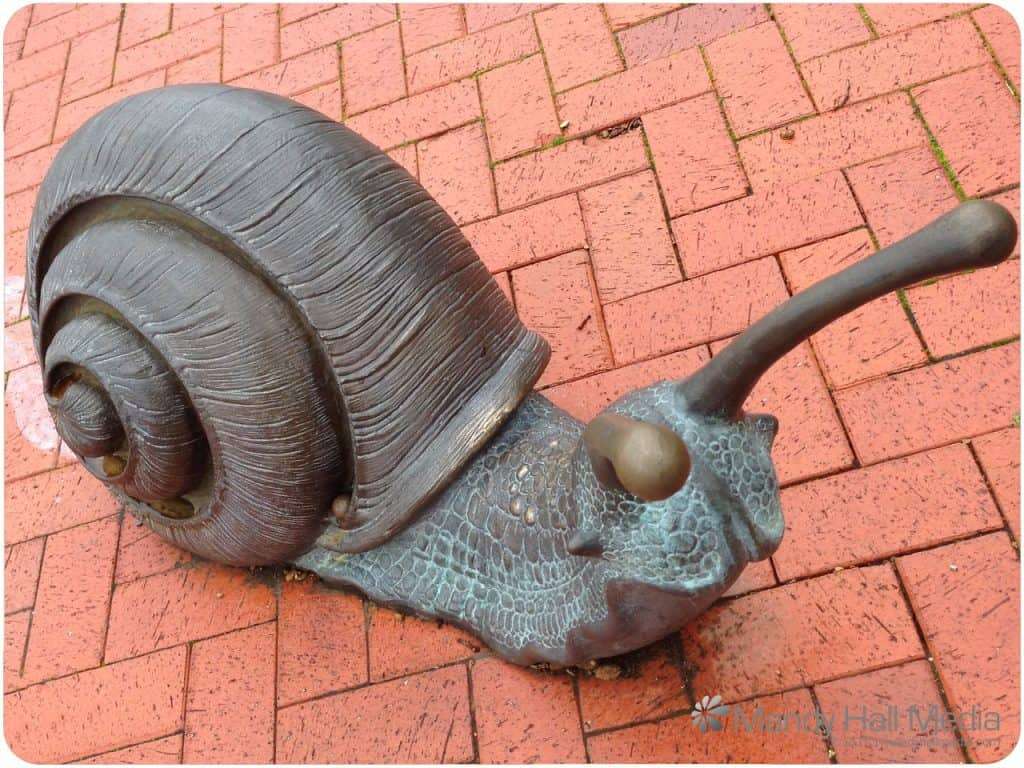 More snail sculptures from Canberra. Now they even have a wall.