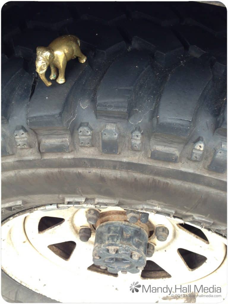 Elephant on a road trip