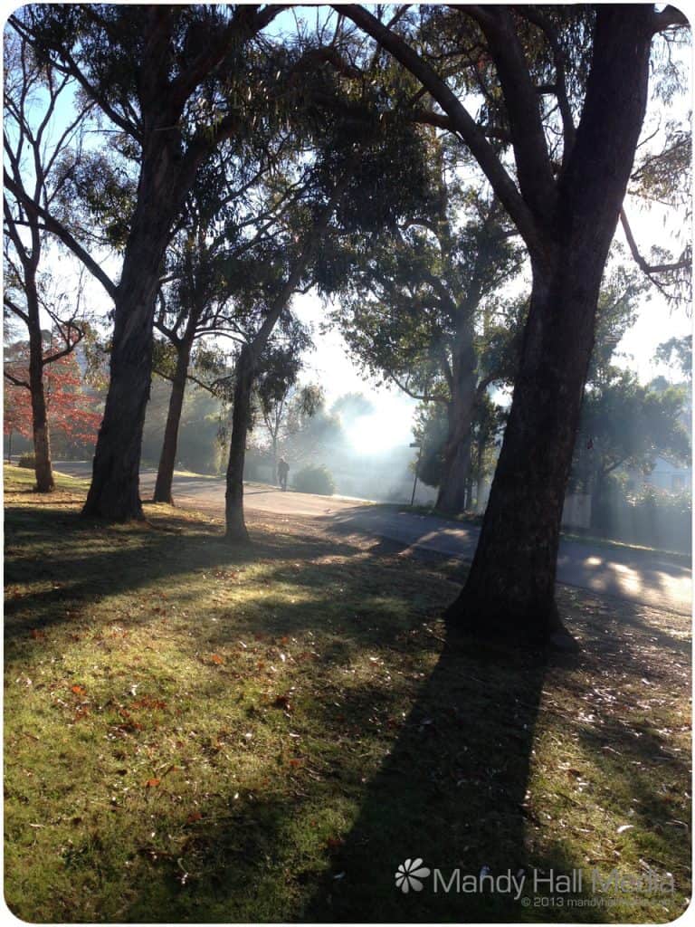 Foggy morning