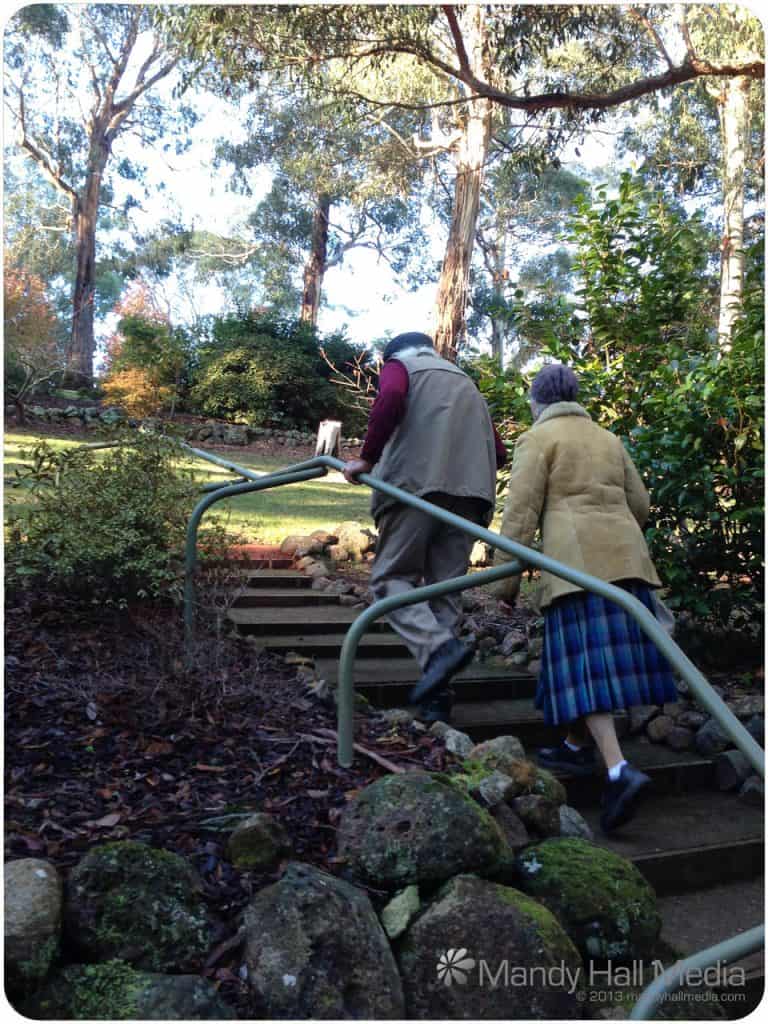 You should always wear your kilt when you tour a garden