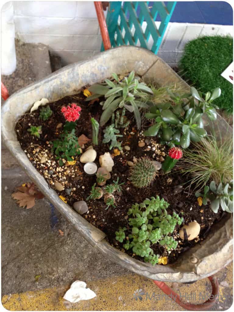 Great idea for an old wheel barrow
