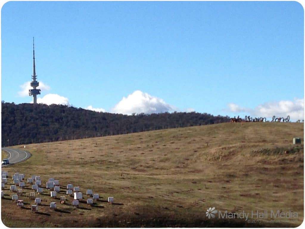 Canberra arboretum with Black Mountain Tower in the background