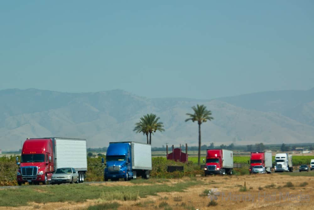 Multi coloured trucks
