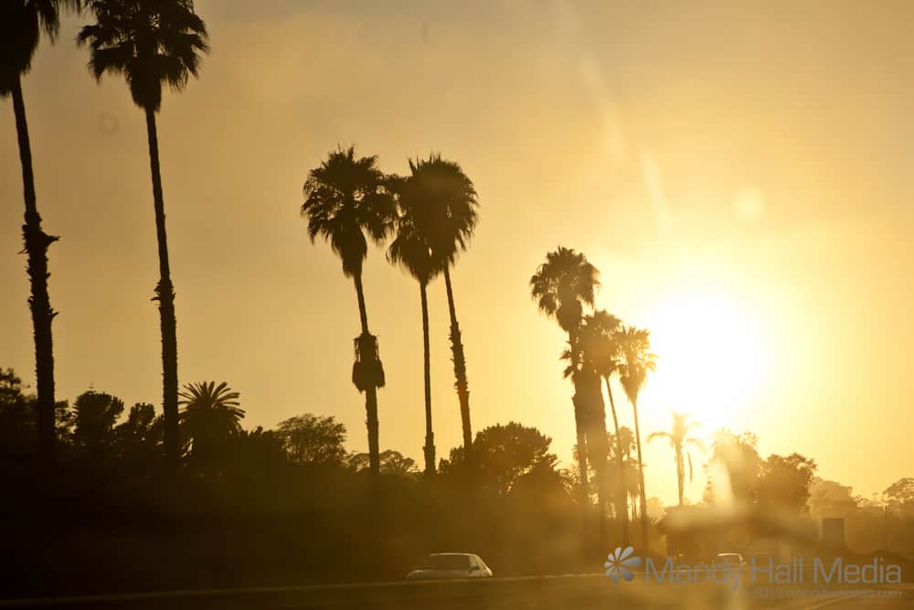 Around Malibu. Very pretty, but so polluted that you couldn’t see the sun.