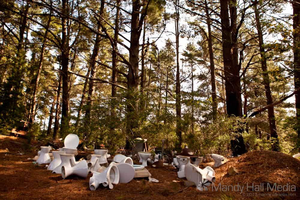 Toilet graveyard in a pine forest