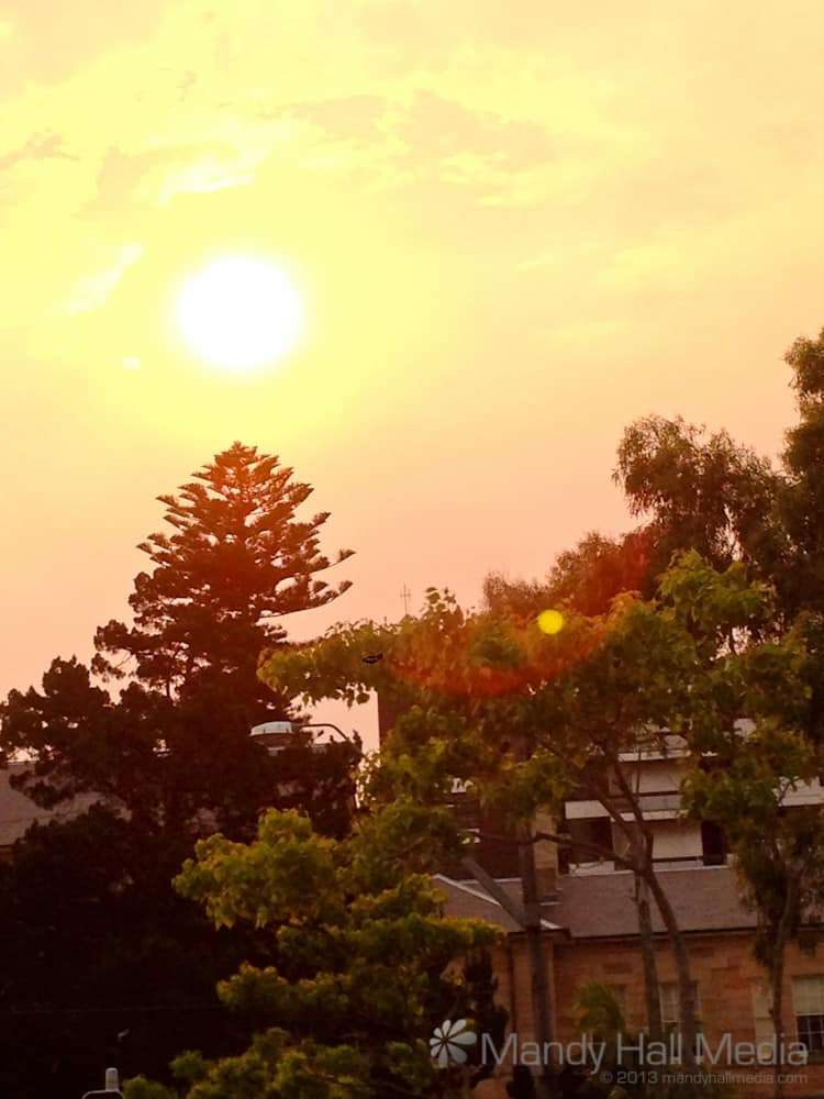 Scary sun in Sydney during the bushfires in October. This was taken in early afternoon, before sunset.