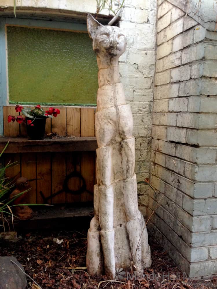 Big cat in the smoking area at the Empress Hotel, Fitzroy