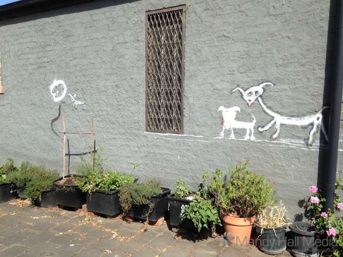 Nice little laneway in Fitzroy