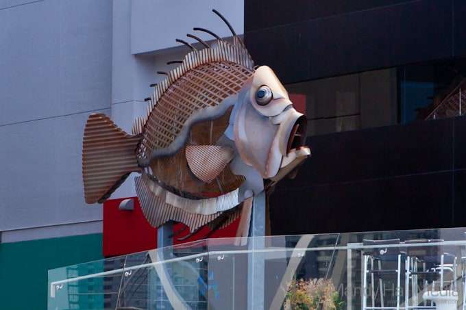 Surprised fish. One of the sculptures from the Commonwealth Games in Melbourne in 2006.