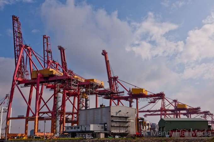 Cranes on the way to Williamstown
