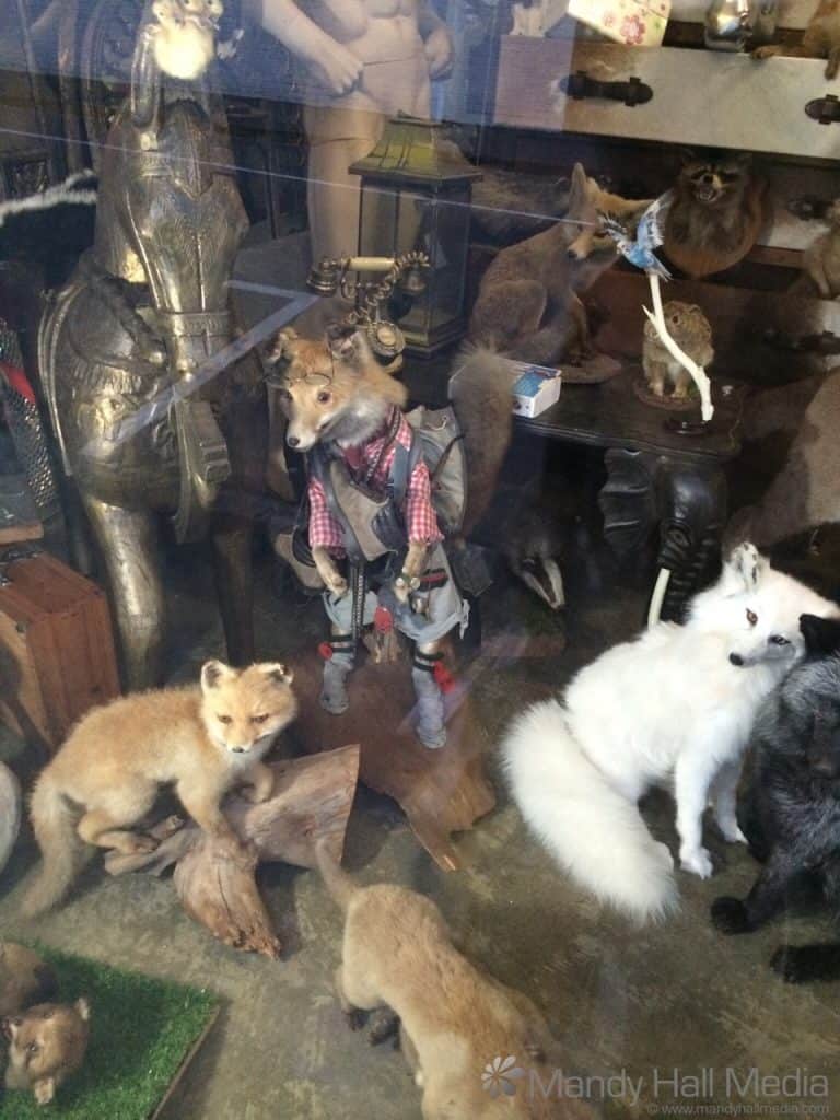 Slightly wonky stuffed animals in a shop front