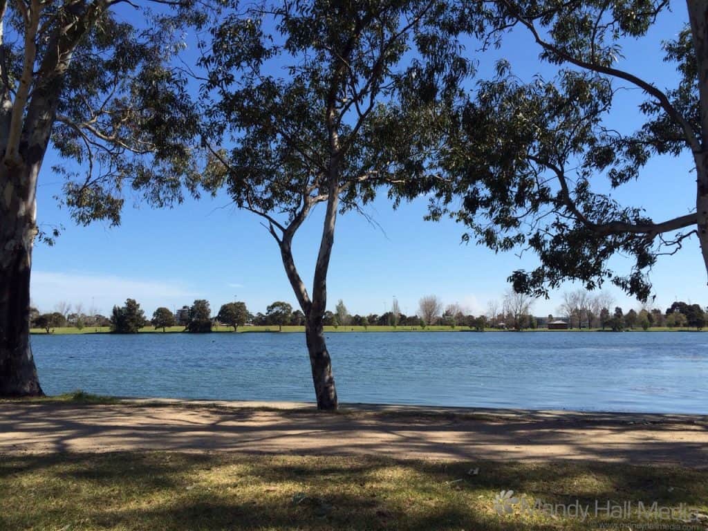 Picnic lunch at Albert Park Lake. Perfect view. The swans didn’t even steal my food.