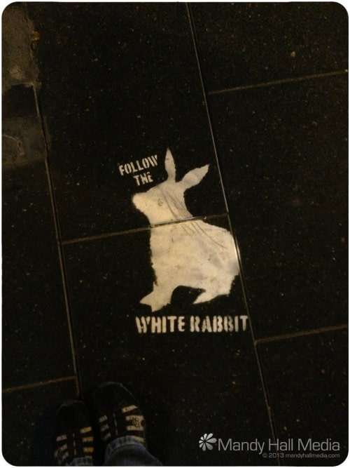 Follow the white rabbit