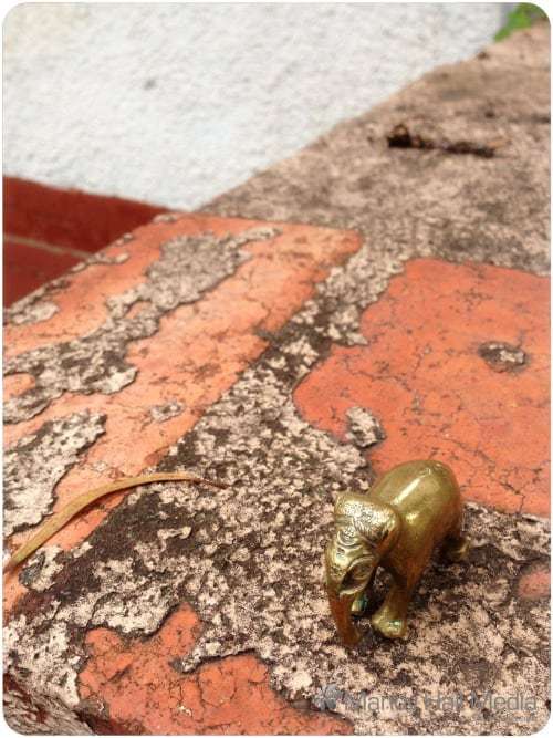 Elephant on the bricks