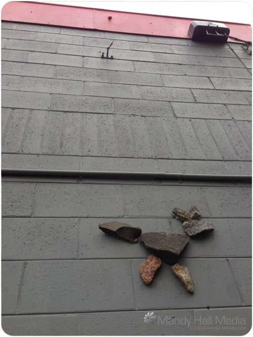 Little dog, high up on the wall