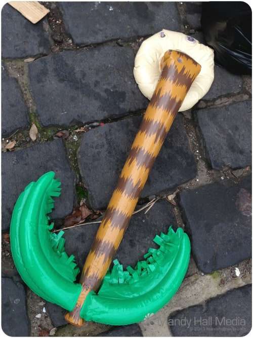 I wonder why they threw it out. Poor palm tree. Maybe it made them sad.