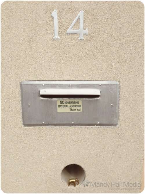 Elephant waiting for mail