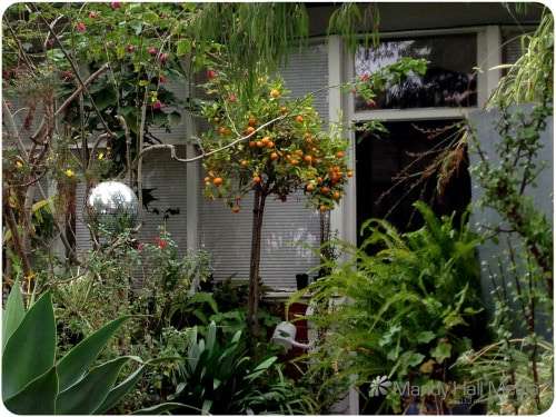 Mirror ball for the birdies