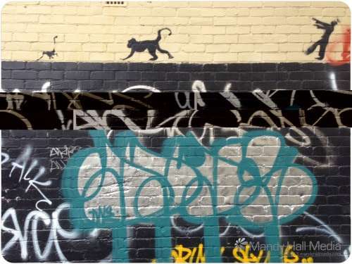 Monkeys and zombies