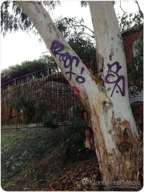 Poor tree