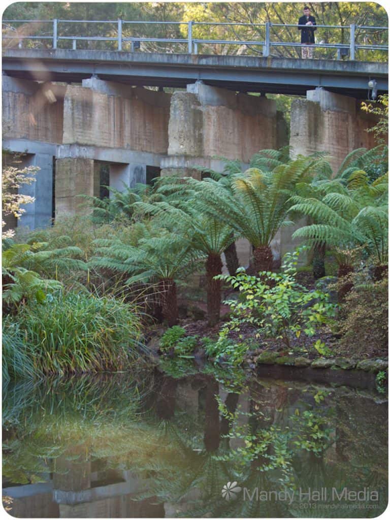 The bridge at the Australian Emergency Management Institute
