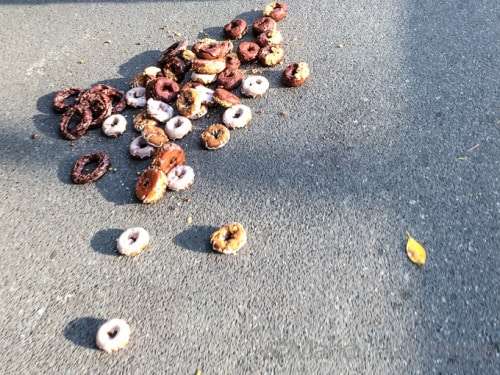 Early morning disaster!