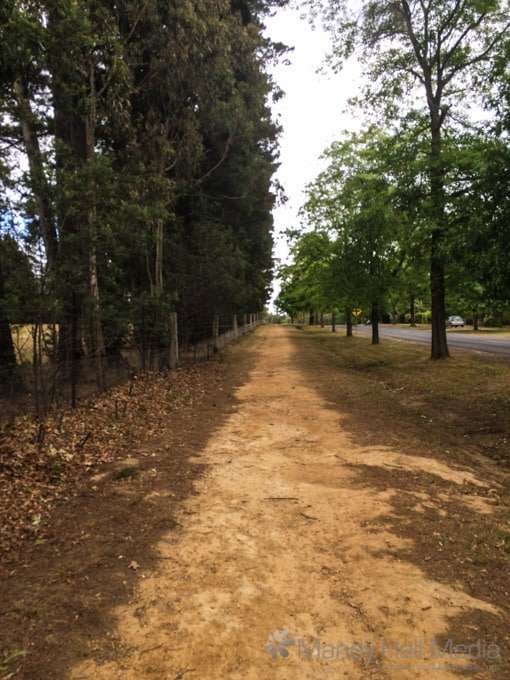 Morning walk