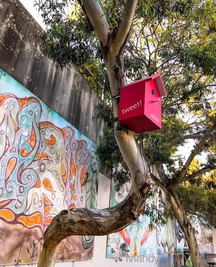 Little nesting box