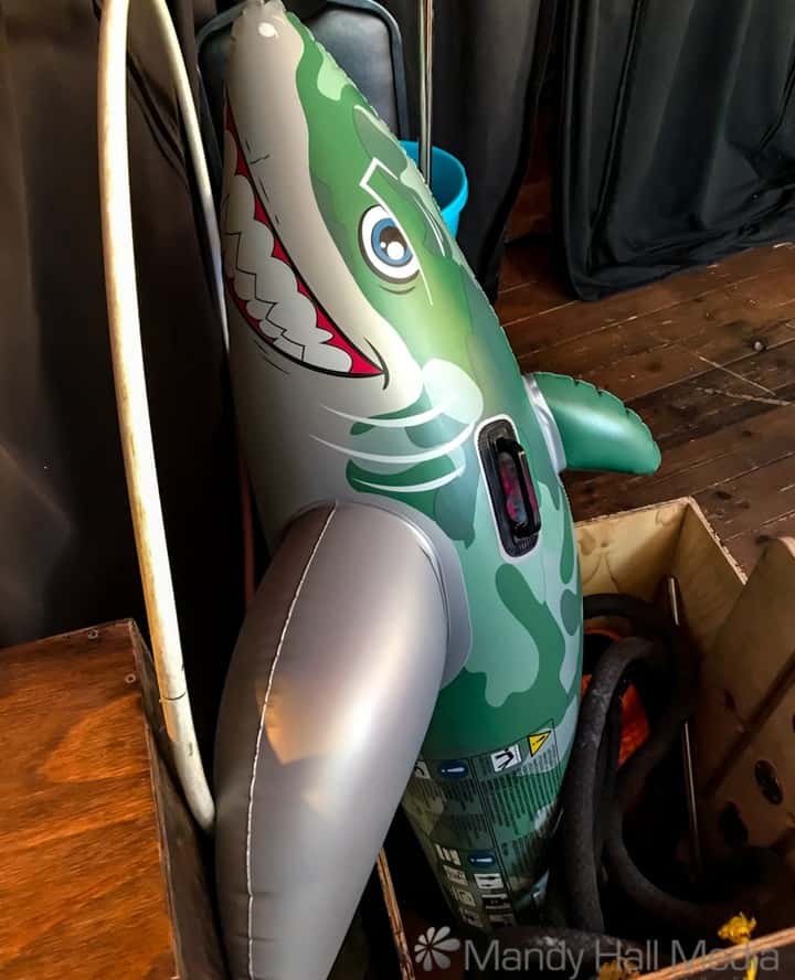 Backstage shark, just in case